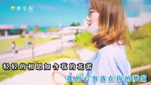 娱乐吃瓜小阿酱小说