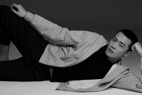 蔡心演员,光影交织下的璀璨星辉